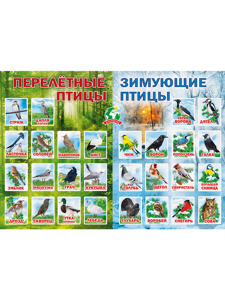 Обучающий плакат "Перелетные и зимующие птицы", А2, 44х60 см, Картон  #1