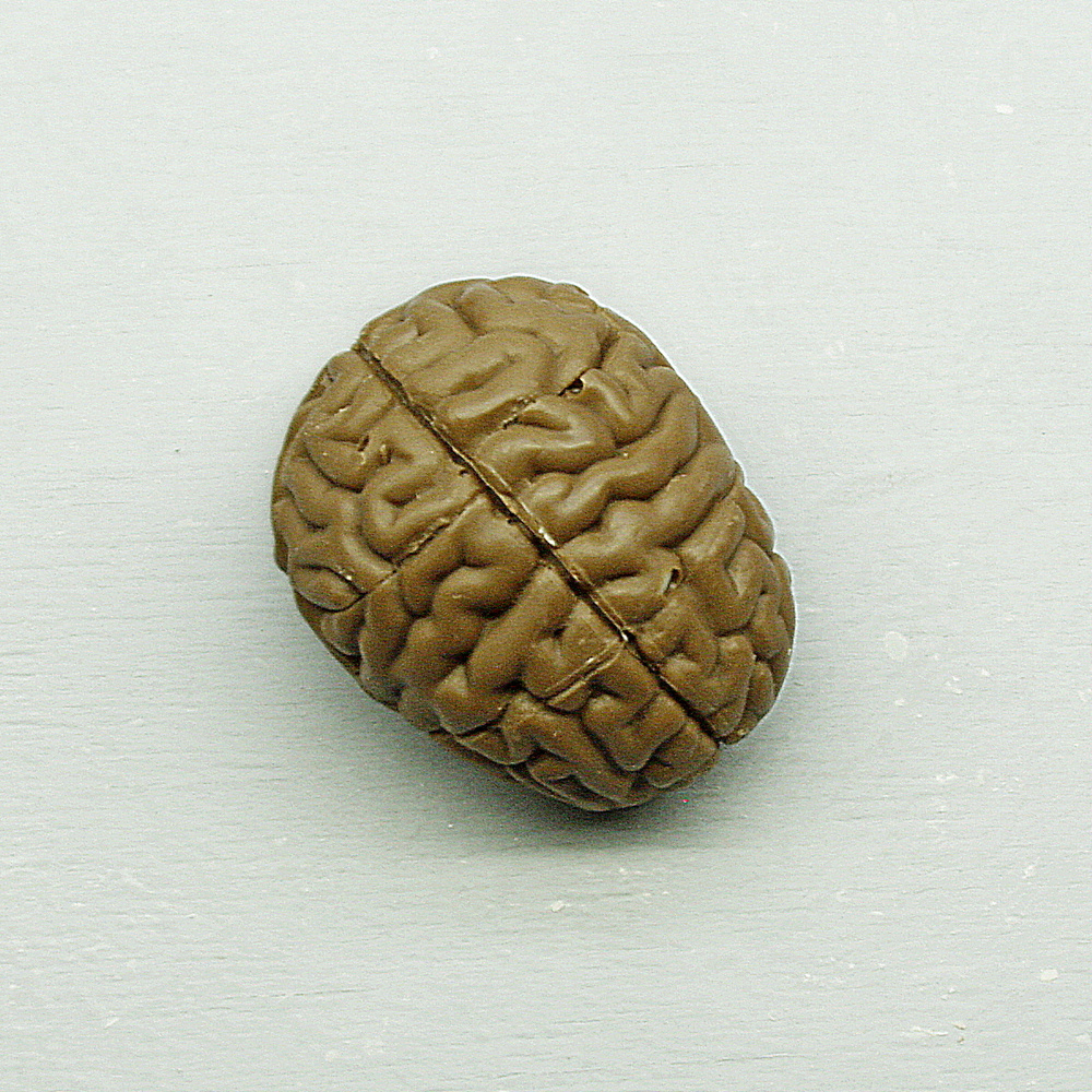Подарочная шоколадная фигура Frade/Фраде - Мозг (вес-40г) (молочный)  #1