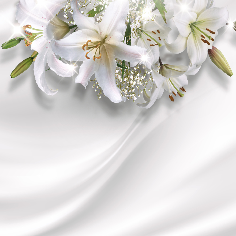 Фотообои ламинированные (Антимаркер моющиеся) "Лилии на шелке" 180х180 см  #1