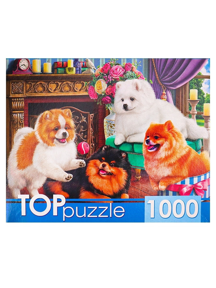 Пазлы Рыжий кот Toppuzzle, 1000 деталей, Игривые шпицы (ХТП1000-4145)  #1