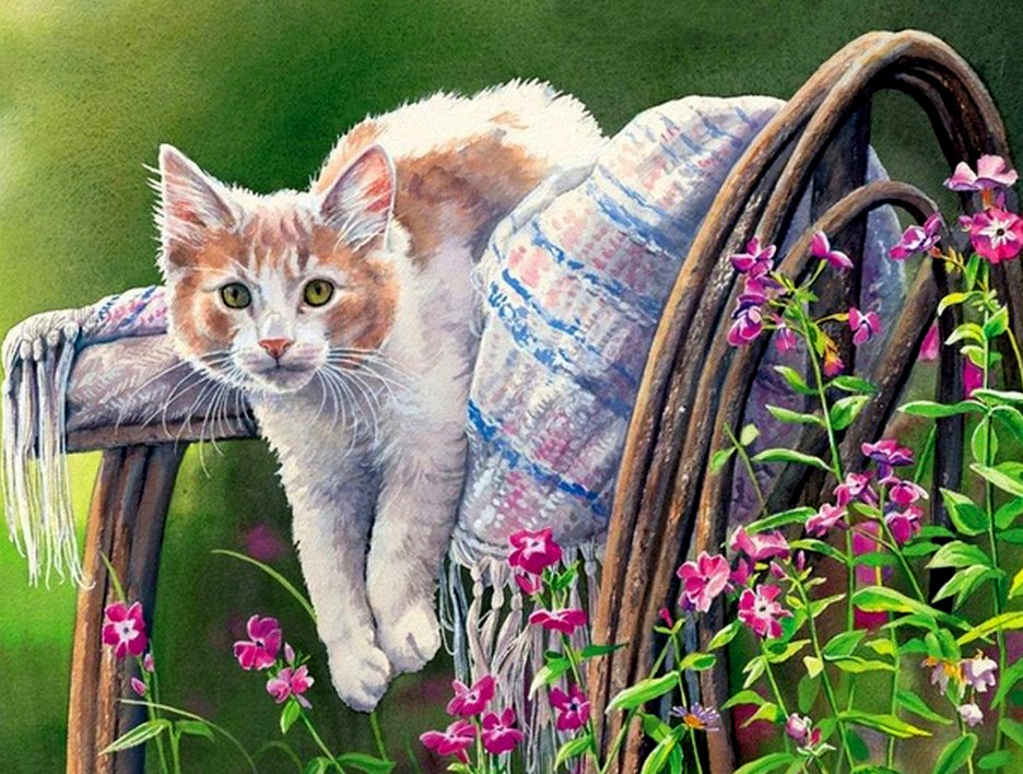 Картина по номерам на холсте 40x50 40 х 50 с подрамником "Кошечка на уличном стуле"  #1
