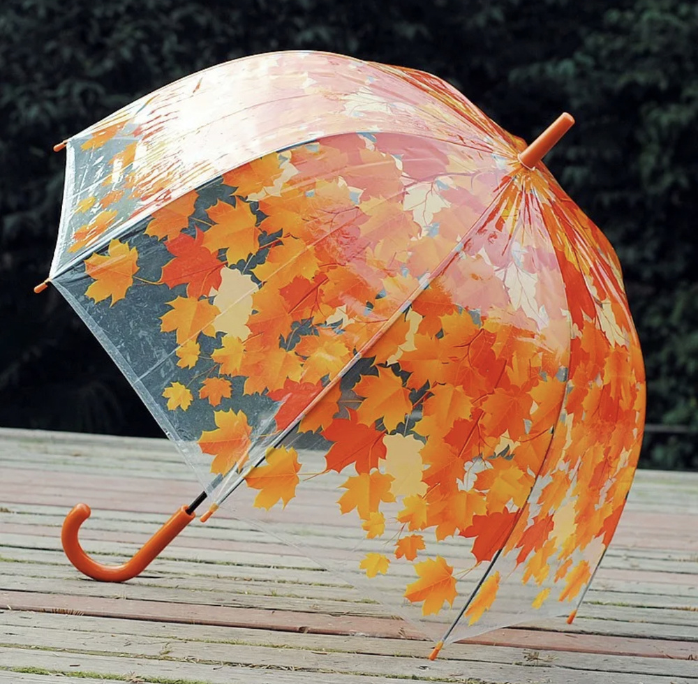 Прозрачный зонтик-трость для взрослых "Листопад", купол 82см, 8 спиц  #1