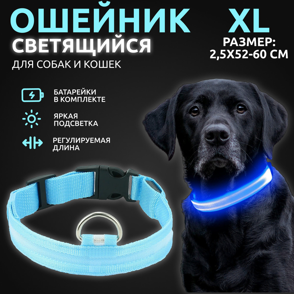 Ошейник светящийся для собак и кошек светодиодный нейлоновый голубого цвета, размер XL - 2,5х52-60 см #1
