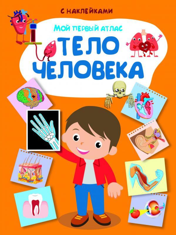 Мой первый атлас. Тело человека. Книжка с наклейками #1