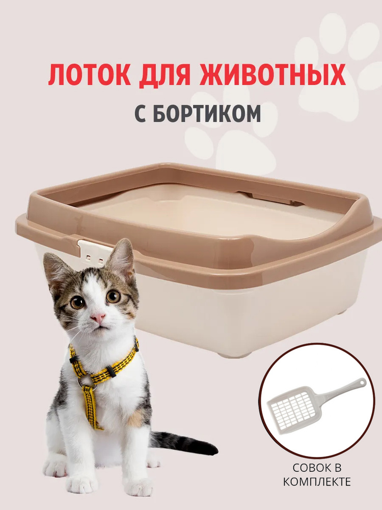 Туалет для котят DD Style, с бортом, кошачий туалет, лоток для кошек с совком, молочный  #1