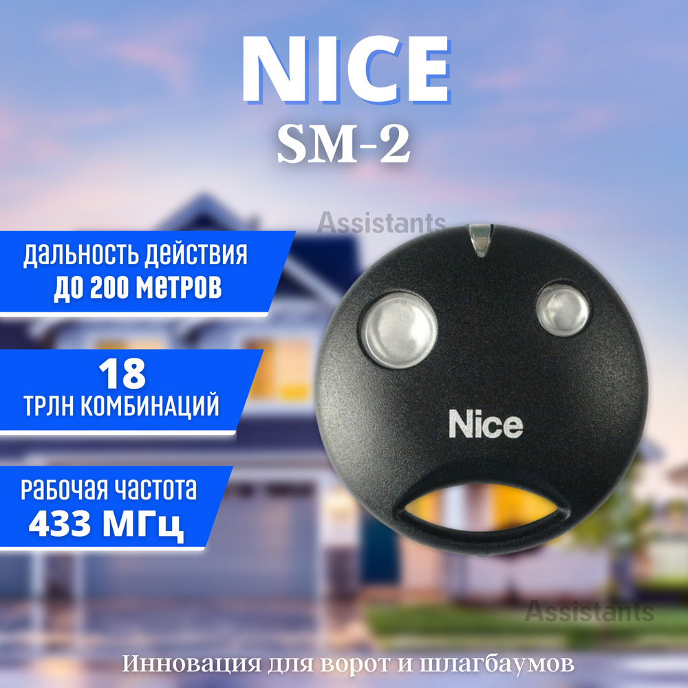 Пульт для ворот и шлагбаума NICE SM2 (SMILO2) 1шт. #1