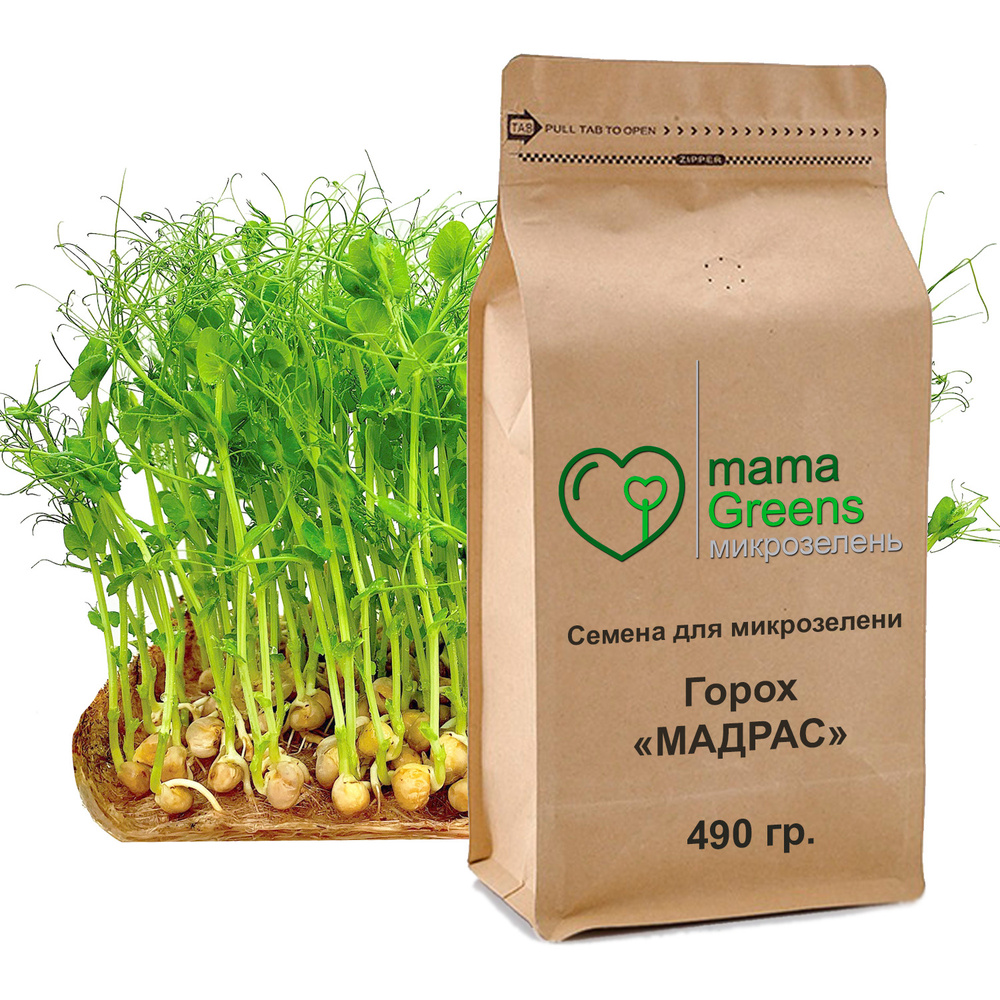 Горох Мадрас 490 гр - Семена для микрозелени, фитнес питание, микрозелень гороха зеленый усатый семена #1
