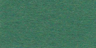 Бумага цветная 120 г/м2 A4 21 х 29.7 см 58 темно-зеленый (fir green), 1 шт. в заказе  #1