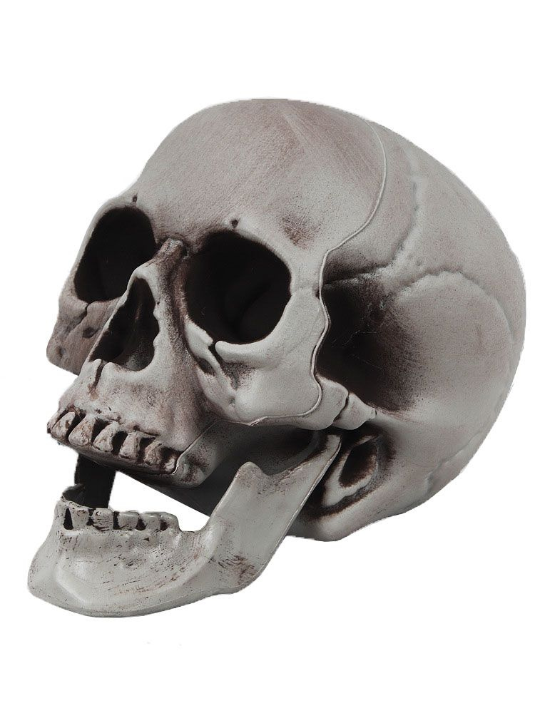 Человеческий бутафорский череп на Хэллоуин Borosko 33-000 #1