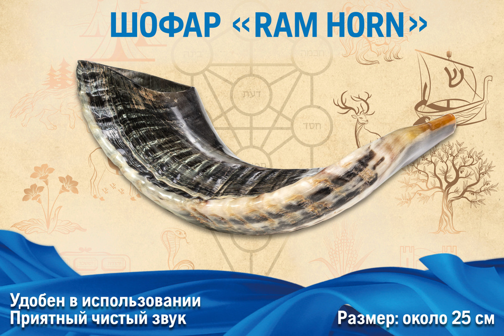 Шофар "Ram Horn" #1