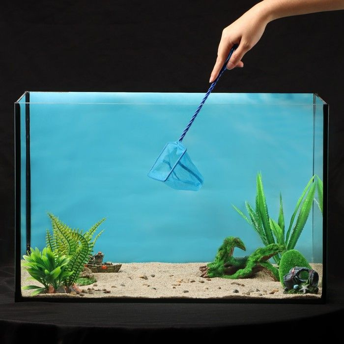 Сачок аквариумный 10 см, синий #1