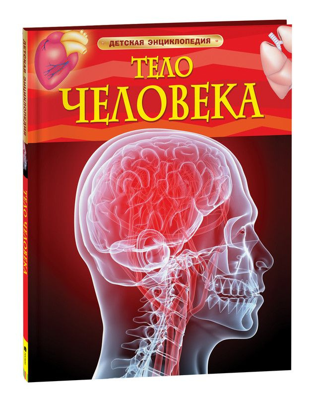 Тело человека. Детская энциклопедия школьника 7 лет | Смит М.  #1