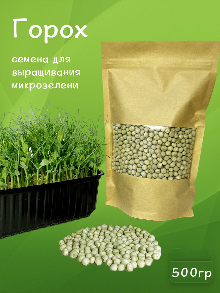 Горох семена для выращивания микрозелени 500 г #1