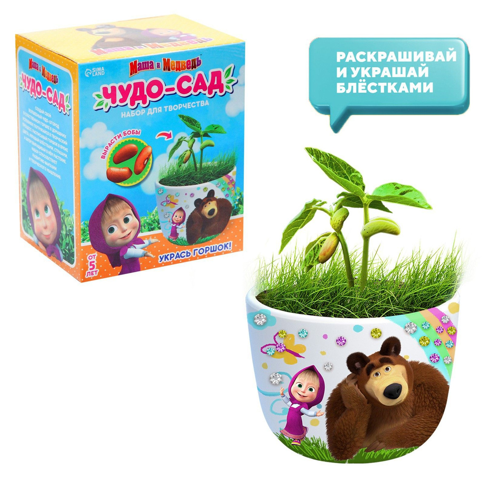 Набор для творчества Маша и Медведь "Чудо-сад, выращиваем травку", прорастайка, для детей  #1