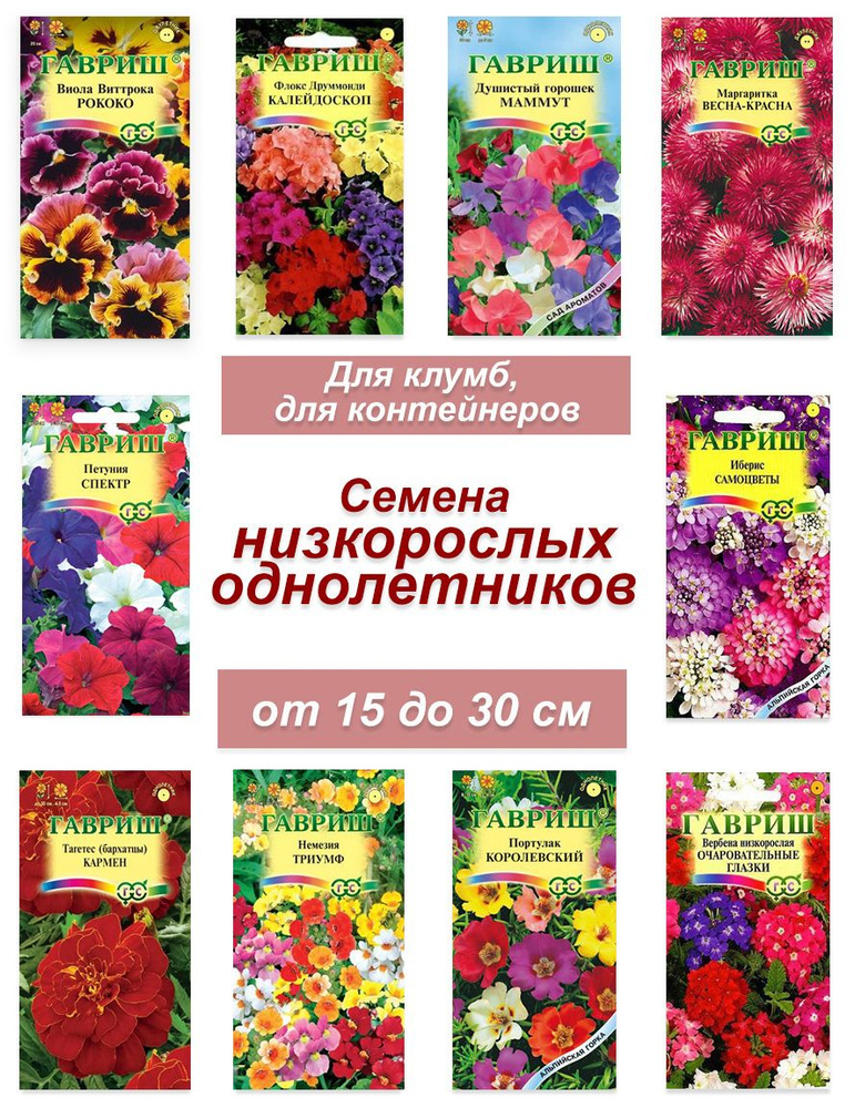 Набор семян, семена низкорослых однолетних цветов (виола, петуния, бархатцы и др  #1