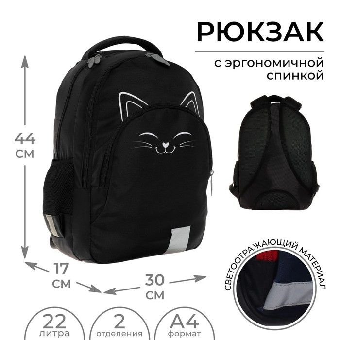 Рюкзак молодёжный, 44 х 30 х 17 см, эргономичная спинка, Calligrata Р "Котик"  #1