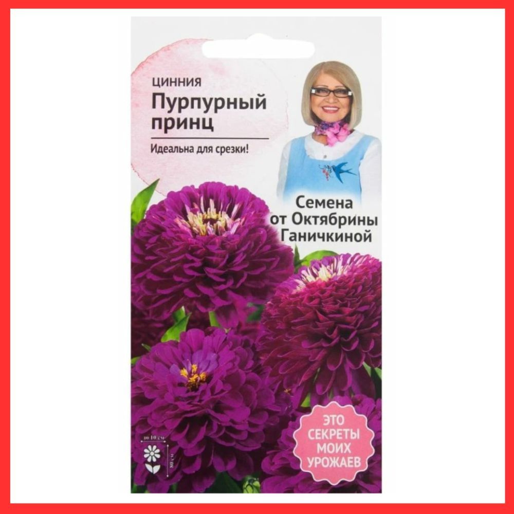 Семена однолетних цветов Цинния "Пурпурный принц" для сада , огорода , дачи , дома / В грунт , клумбу #1