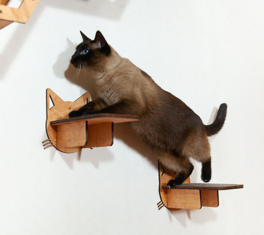 Игровой комплекс для кошек настенный, ступеньки лесенка 3 шт для кошки деревянные  #1