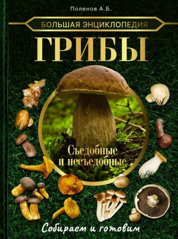 Андрей Поленов - Большая энциклопедия. Грибы. Съедобные и несъедобные. Собираем и готовим | Поленов Андрей #1