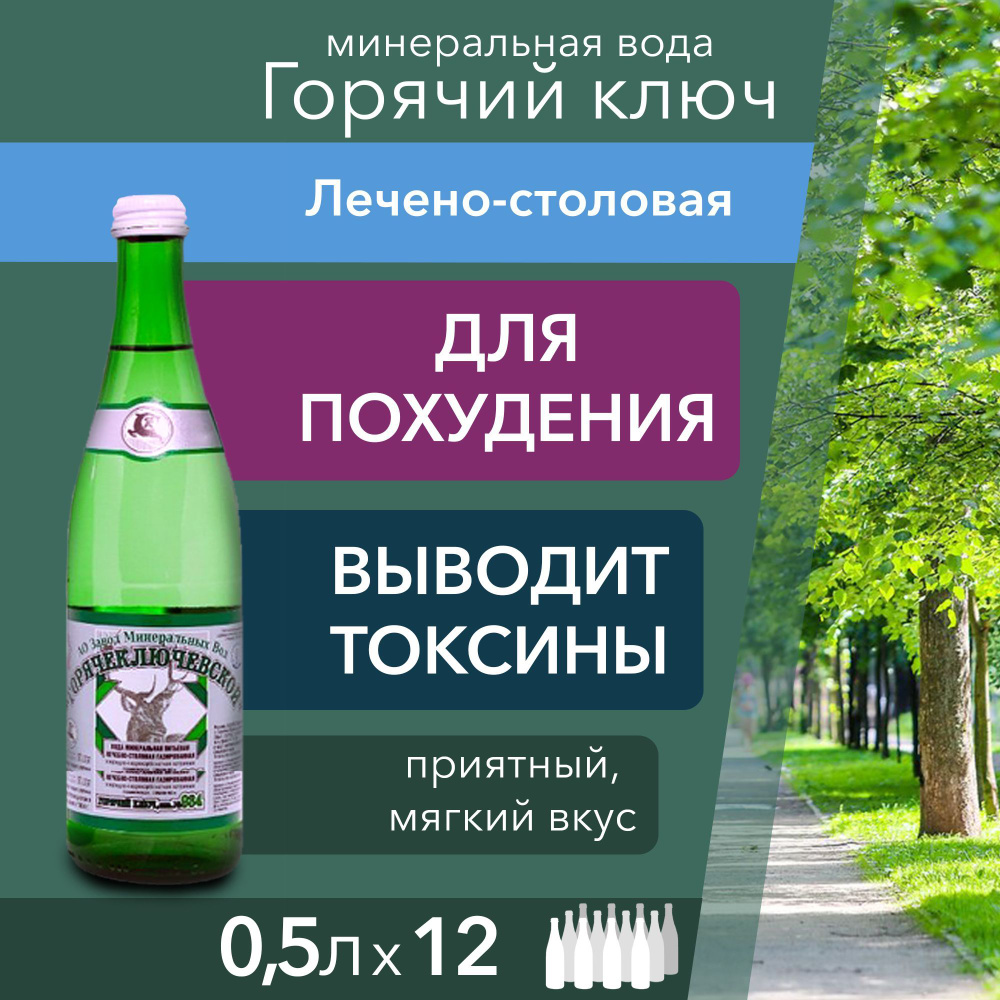 Вода Минеральная Негазированная 500мл. 12шт - купить с доставкой по  выгодным ценам в интернет-магазине OZON (984447506)