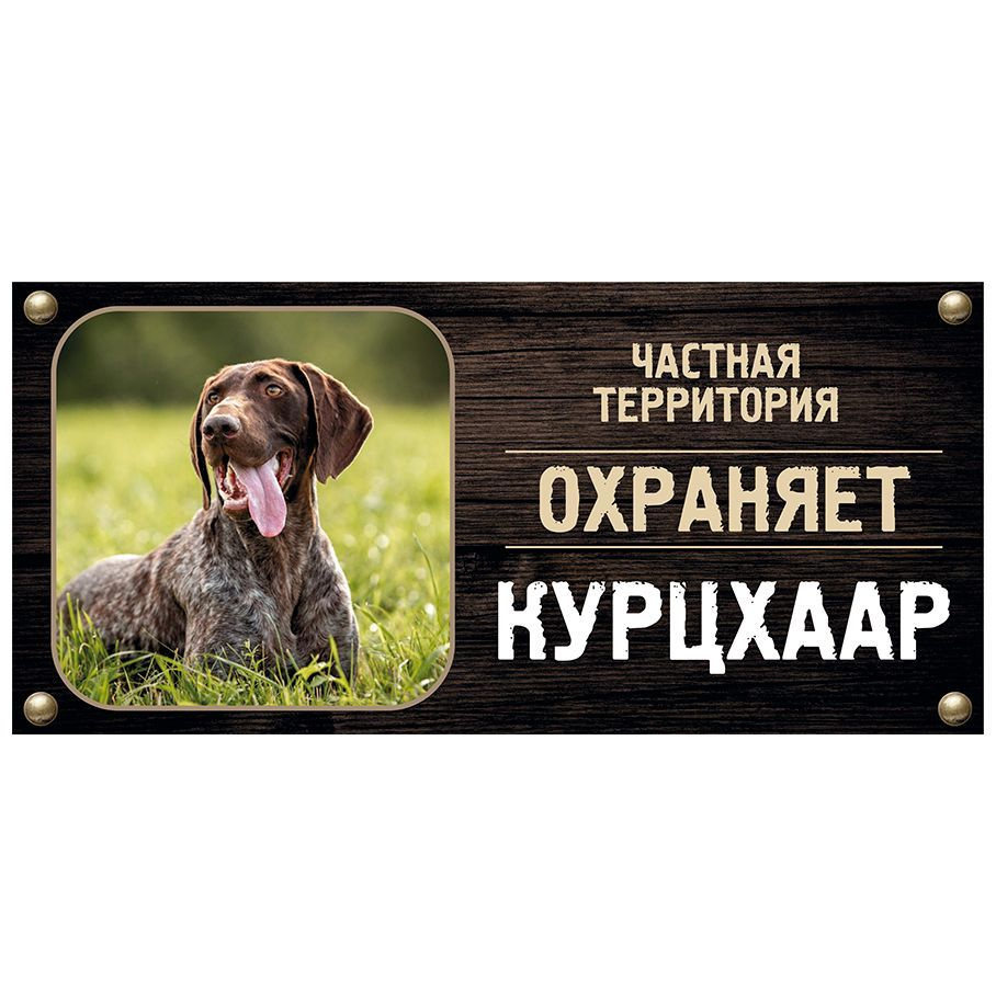 Табличка, Злая собака, Территорию охраняет Курцхаар, на металлической основе, 30см х 14 см, на забор, #1