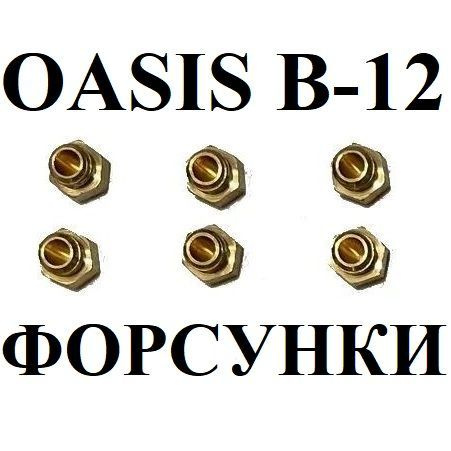 Комплект перевода на сжиженный газ для бездымоходной колонки Oasis B-12W  #1