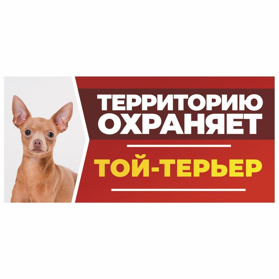 Табличка, DANGER DOG, Той-терьер, на забор, 30см х 14см #1