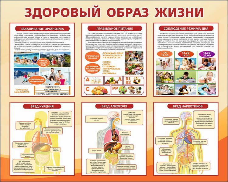 Здоровый образ жизни. Укрепление здоровья – 11 плакатов. Формат А-3.