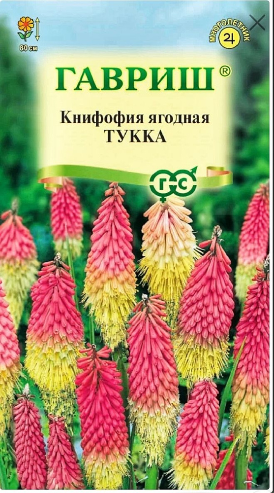 Книфофия Тукка, 1 пакет, семена 0,05 гр, Гавриш #1