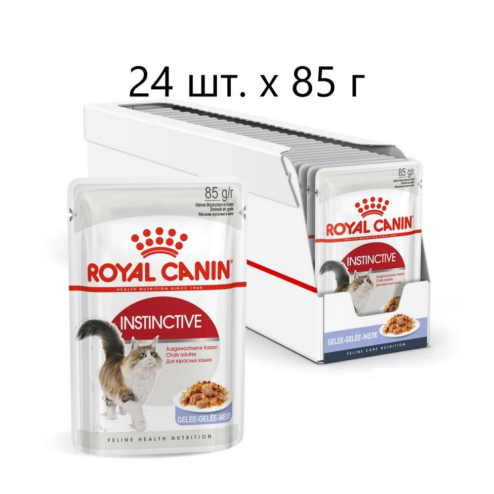 Влажный корм для кошек Royal Canin Instinctive, 24 шт. х 85 г (кусочки в желе)  #1