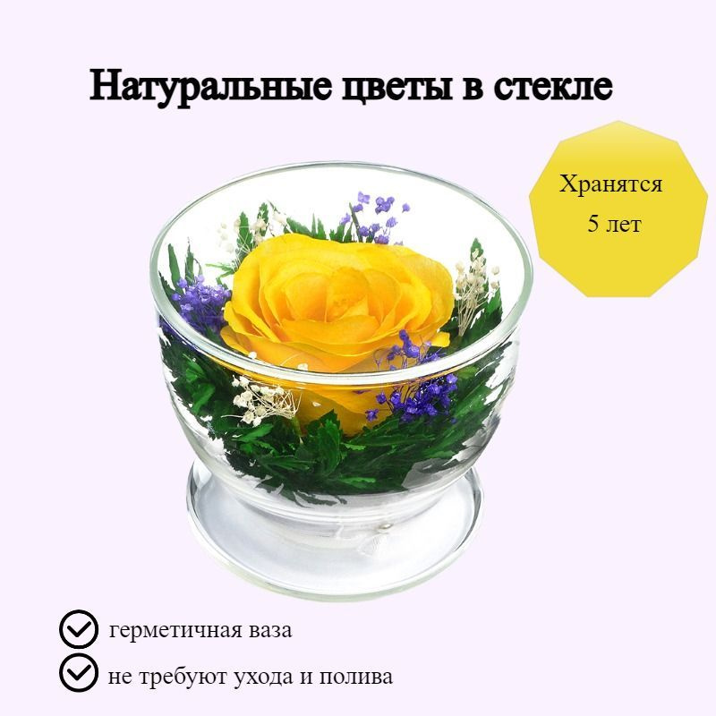 Композиция из натуральных цветов в стекле NFP, 7х8 см #1