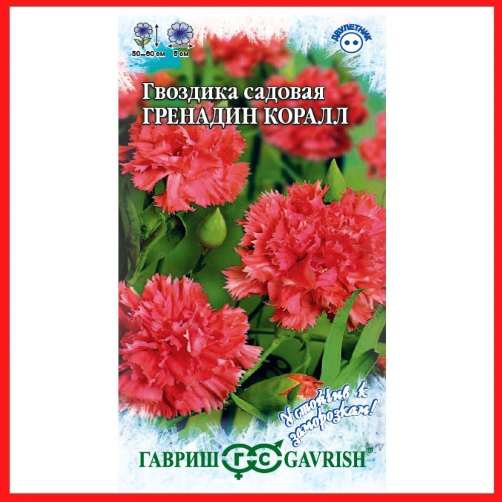 Семена Гвоздика садовая "Гренадин Коралл" смесь 0,05 гр, двулетние цветы для дачи, сада и огорода, клумбы, #1