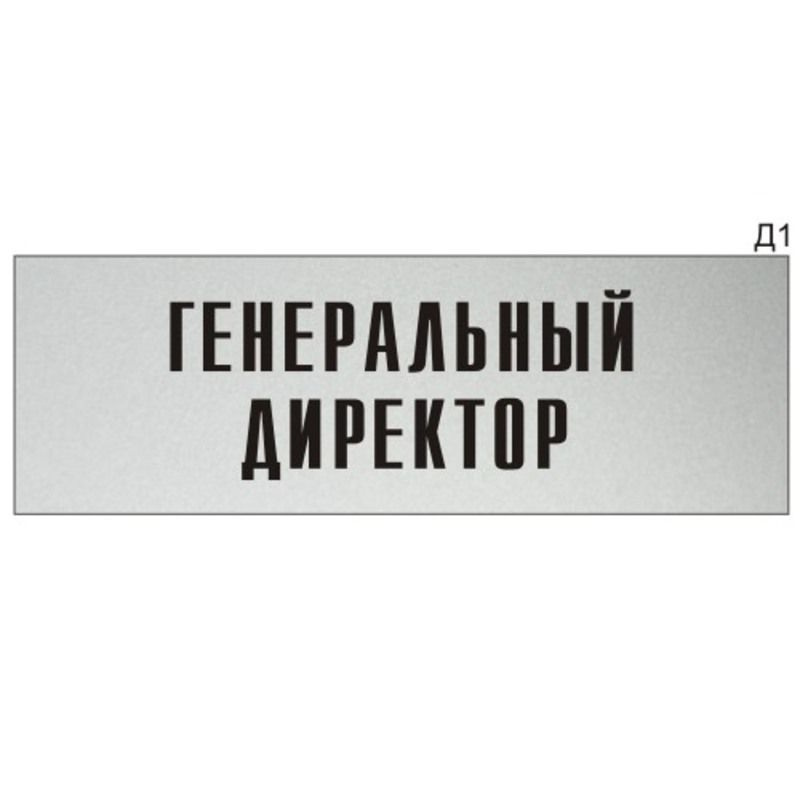 Информационная табличка - "Генеральный директор" на дверь прямоугольная Д1 (300х100 мм)  #1