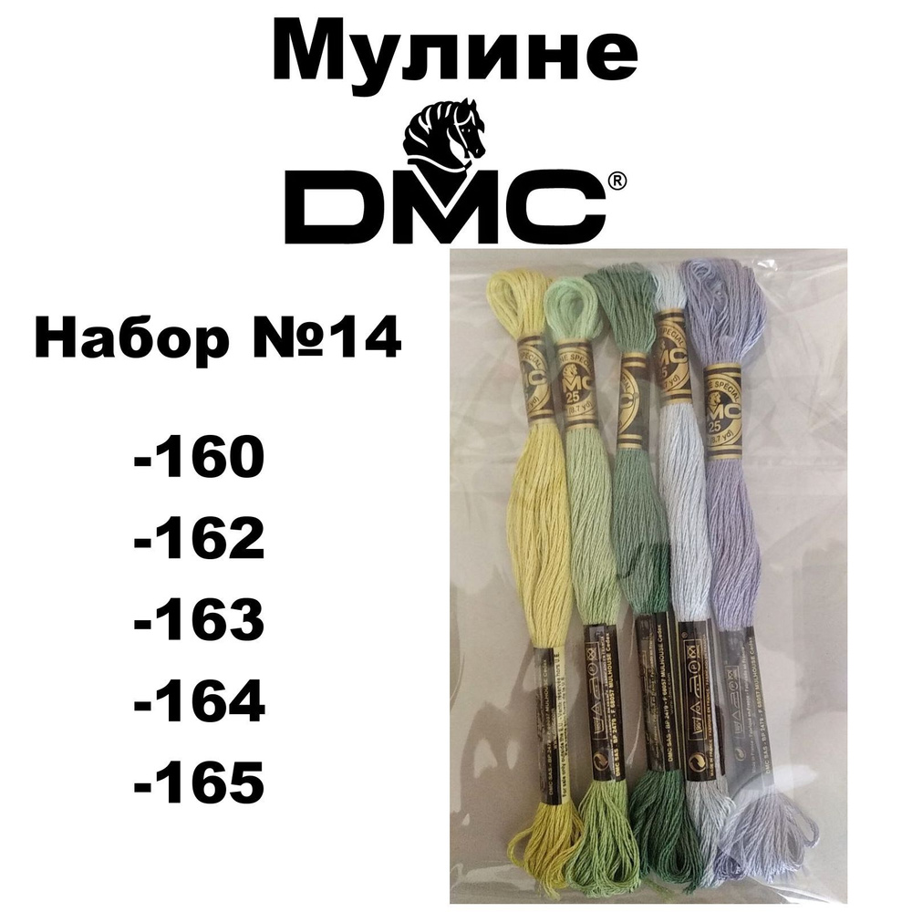 Нитки мулине DMC Embroidery для вышивания / Набор №14 / цвета 160, 162, 163, 164, 165  #1