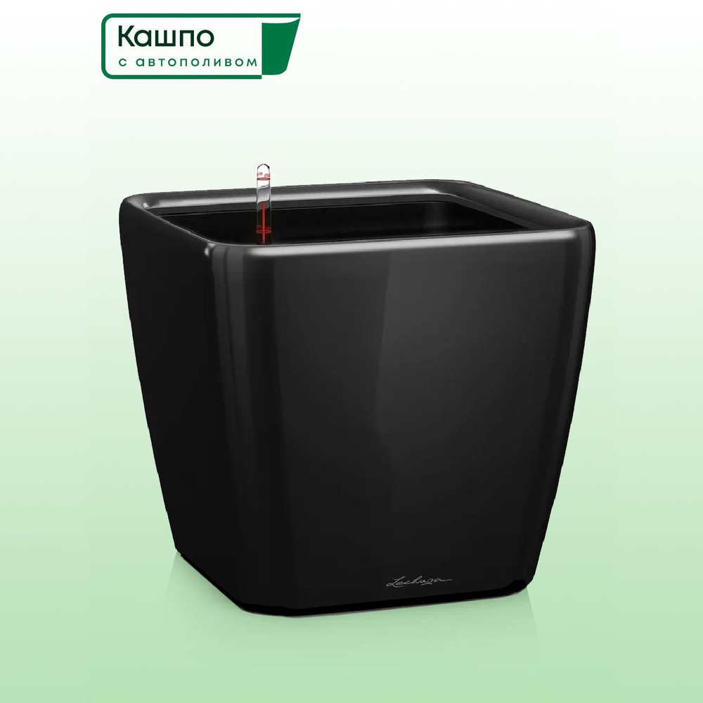 Кашпо с автополивом Lechuza QUADRO Premium 21 LS, L22,5 W22,5 H20,5 см, черное глянцевое / горшок для #1