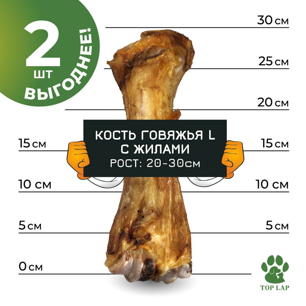 Кость говяжья большая с жилами 2 штуки #1