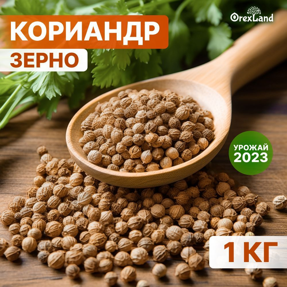 Кориандр зерно, семена кориандра 1000г, 1 кг (целый, в зернах, кинза семена), orexland  #1