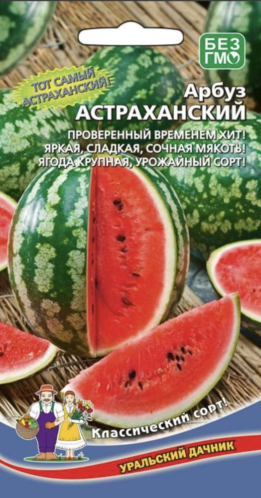 Арбуз АСТРАХАНСКИЙ, 2 пакета, семена 10 шт, Уральский Дачник  #1