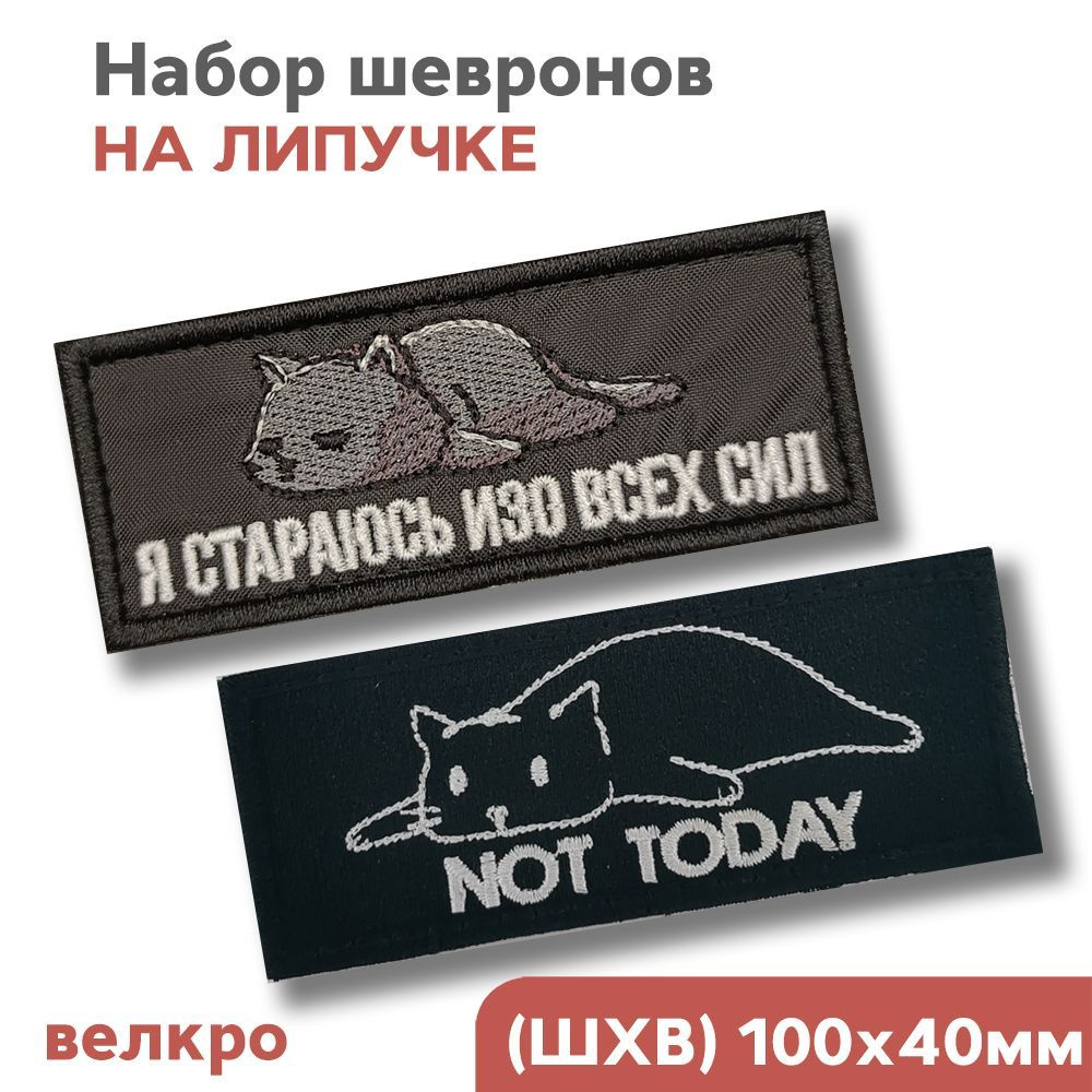 Набор нашивок, Шевроны на липучке велкро "Котик, Not Today, Стараюсь изо всех сил", 100х40мм, Фабрика #1