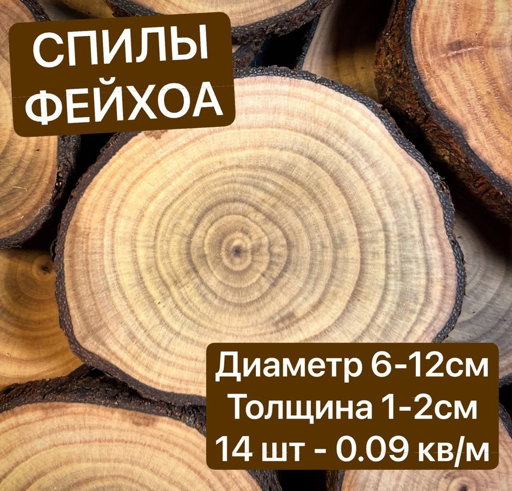 Спилы дерева Фейхоа 6-12см 14 шт - купить с доставкой по выгодным ценам в  интернет-магазине OZON (1189188700)