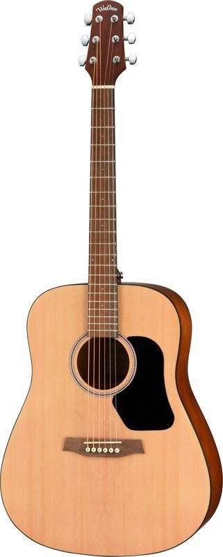 Walden Акустическая гитара D255 Hawthorne Dreadnought 6-струнная, корпус Ель  #1