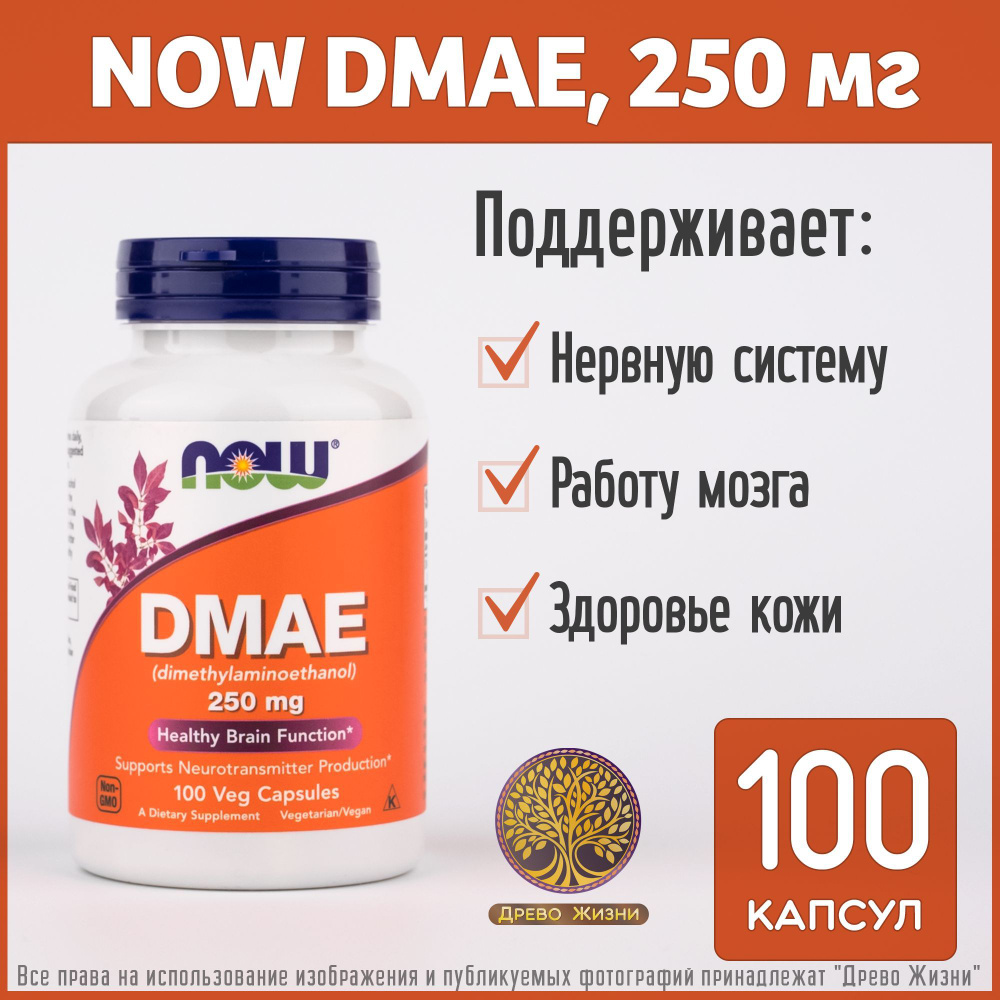 NOW DMAE, ДМАЭ, Диметиламиноэтанол 250 мг, 100 капсул #1