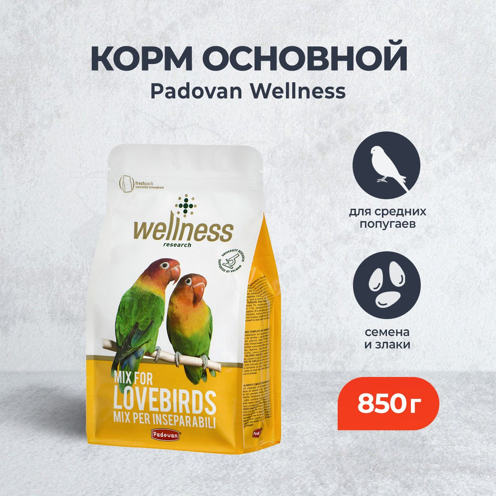 Сухой основной корм Padovan Wellness для средних попугаев - 850 г  #1