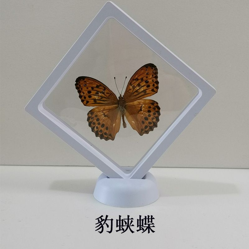 образец насекомого, смола,бабочка - купить с доставкой по выгодным ...