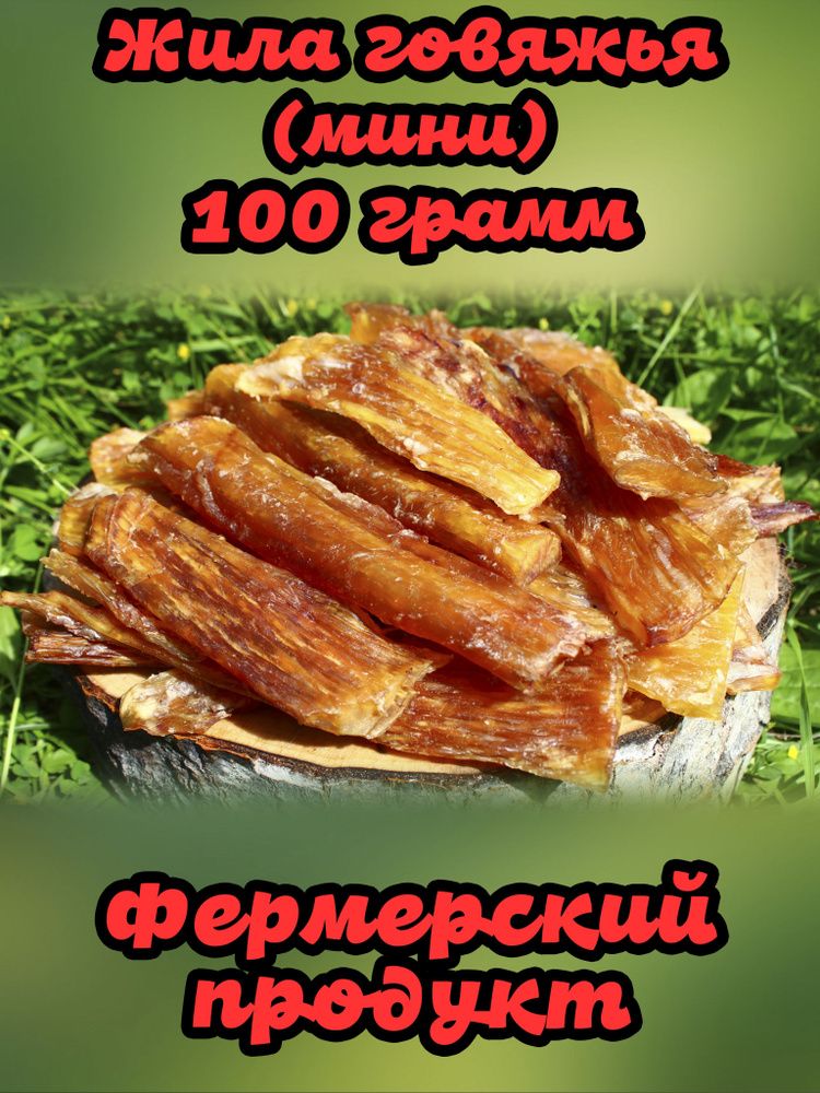 Жила говяжья (мини), лакомство для собак, 100 гр. от КФХ "Мелёшиха"  #1