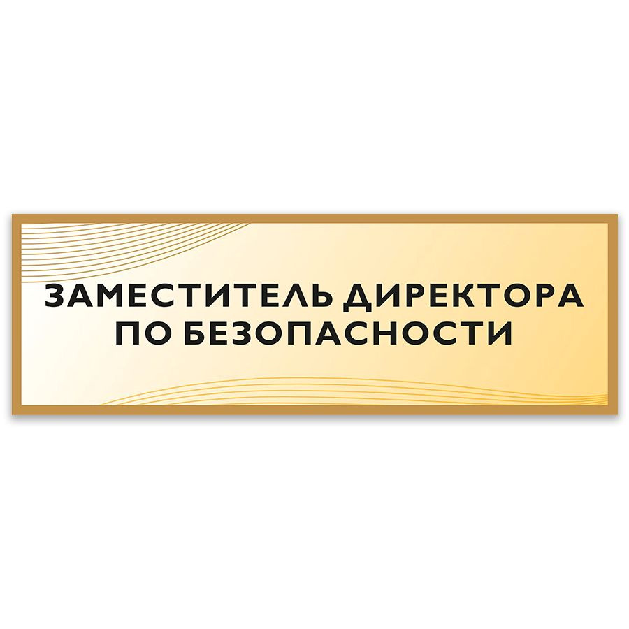 Табличка, на дверь, Дом Стендов, Заместитель директора по безопасности, 30см х 10см, в школу, на кабинет #1