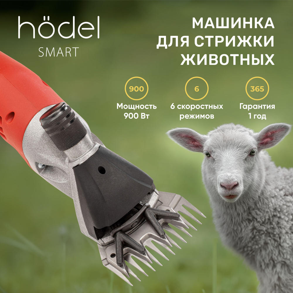 Машинка для стрижки овец и баранов Hodel Smart профессиональная,  электрическая, мощная 900Вт / набор с кейсом, маслом и щеткой для чистки /  электроножницы для шерсти животных - купить с доставкой по выгодным