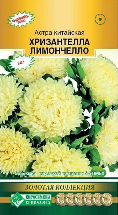 Астра китайская Хризантелла Лимончелло, семена цветов немецкой селекции, 5 шт  #1