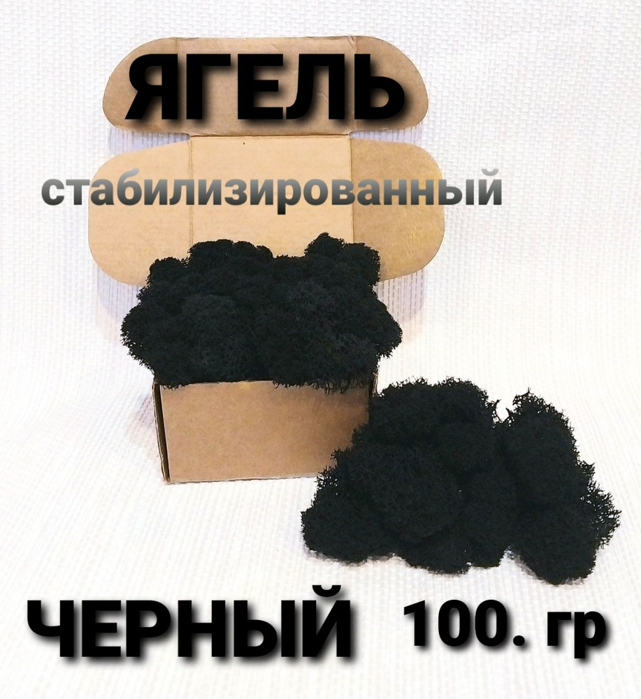 Сухоцветы Мох, 100 гр #1