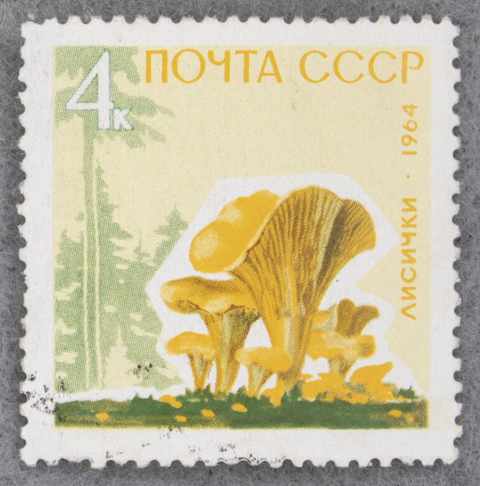 Почтовая марка "Лисички". Номинал 4 коп. СССР. 1964 год. (Загорский 3037А)  #1